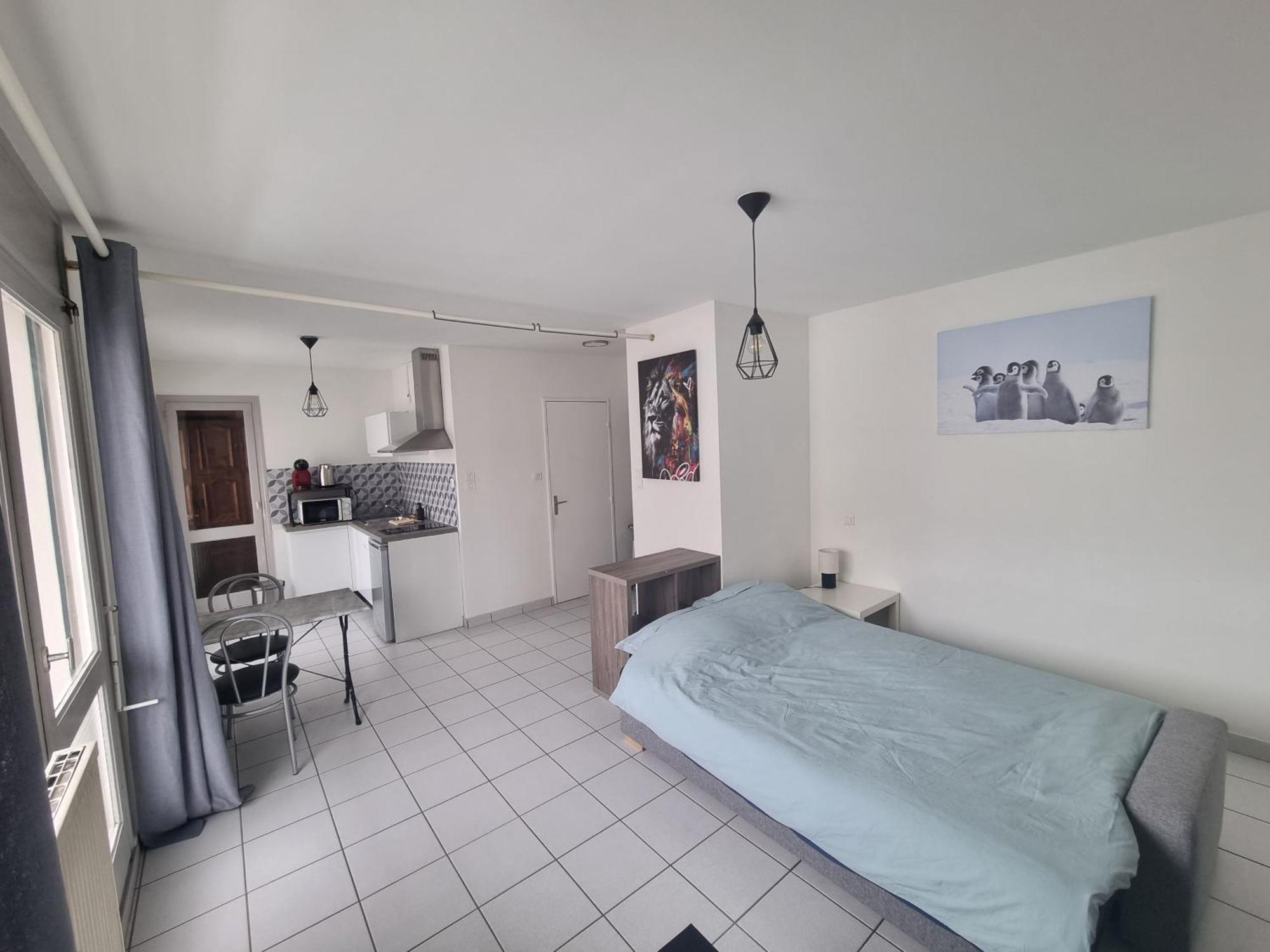 Apartment Lumineux Bellevue 11 Saint-Etienne (Loire)